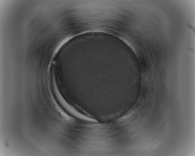 X0000098151127200804241733