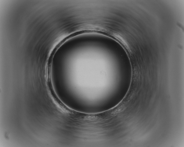 X0000098151128200804241733