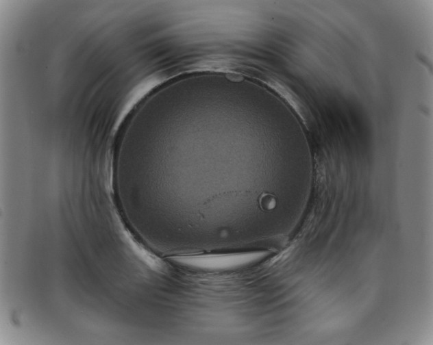X0000098151131200804241733