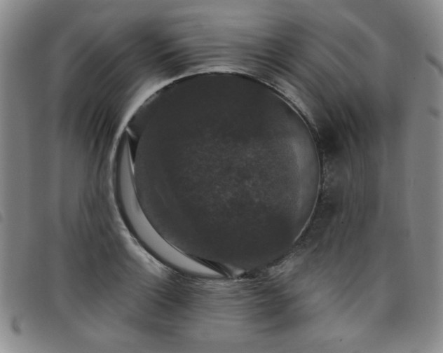 X0000098151132200804241733