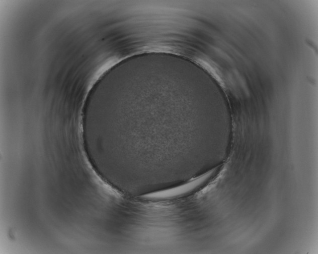 X0000098151133200804241733
