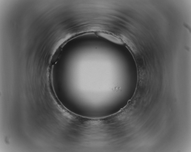 X0000098151134200804241733