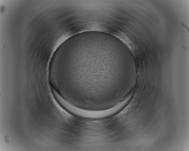 X0000098151135200804241733