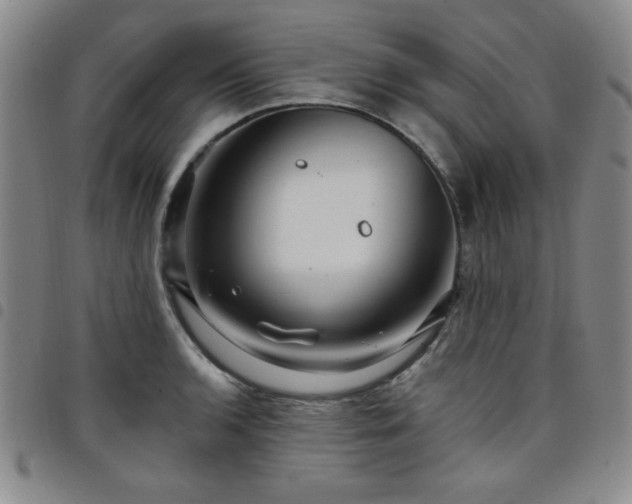 X0000098151136200804241733
