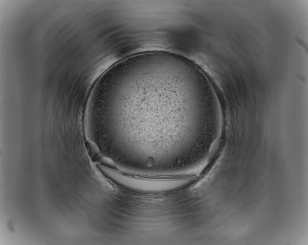 X0000098151137200804241733
