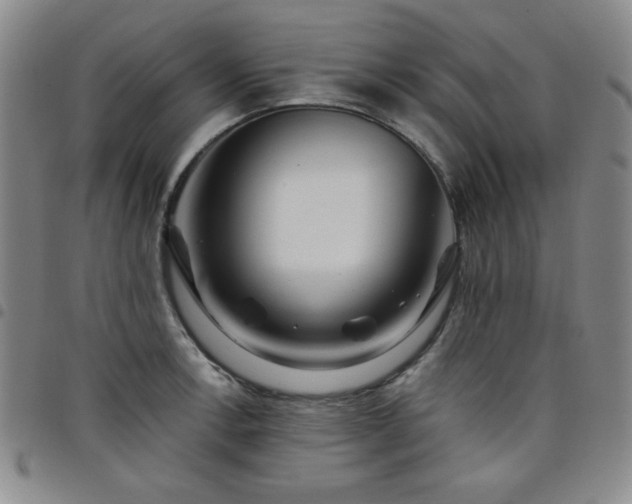 X0000098151138200804241733