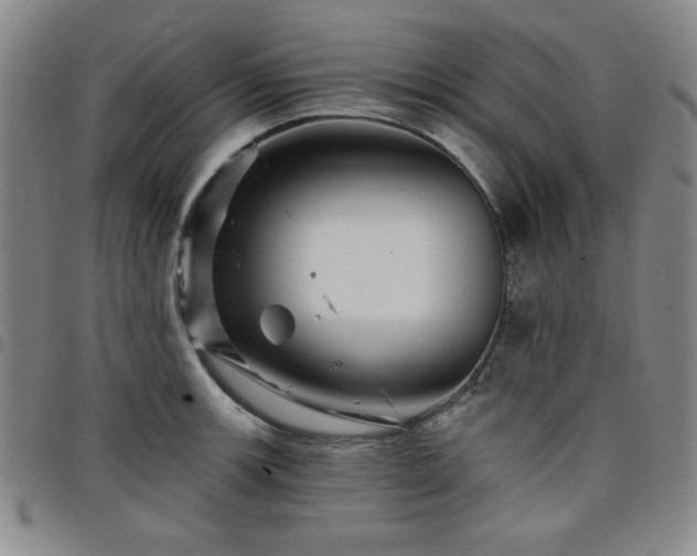 X0000098151139200804241733