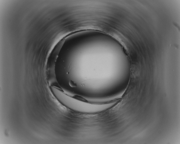 X0000098151140200804241733