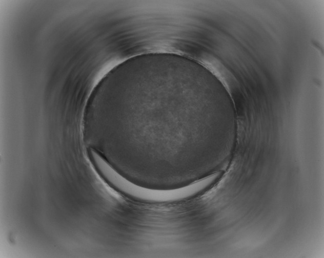 X0000098151141200804241733