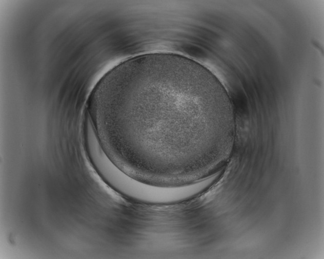 X0000098151142200804241733