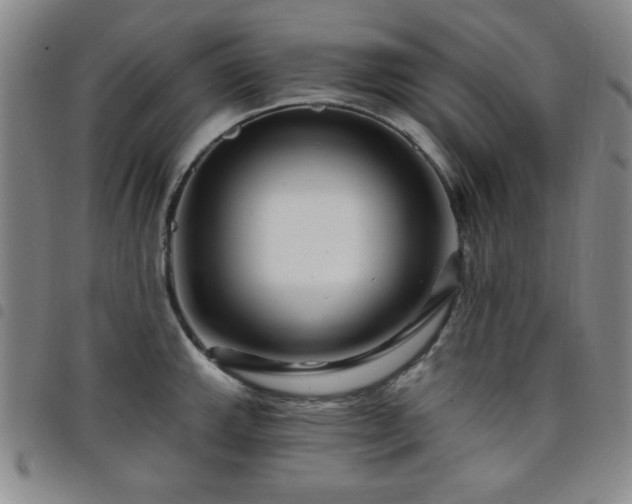 X0000098151143200804241733