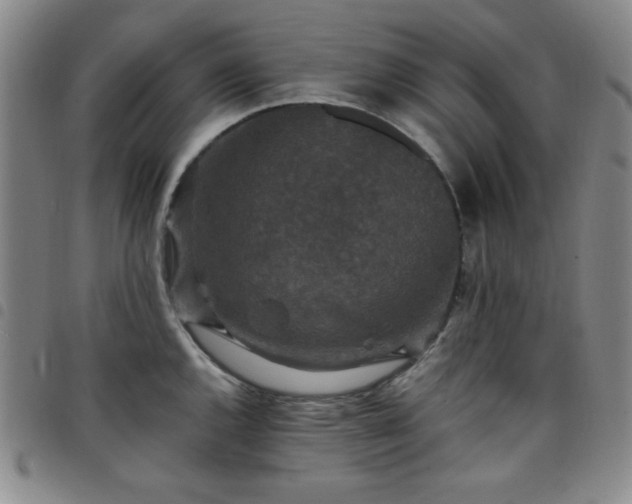 X0000098151144200804241733
