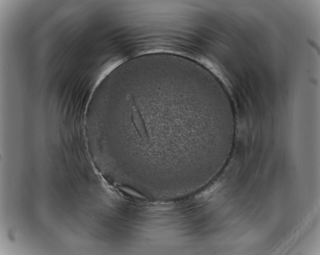 X0000098151145200804241733