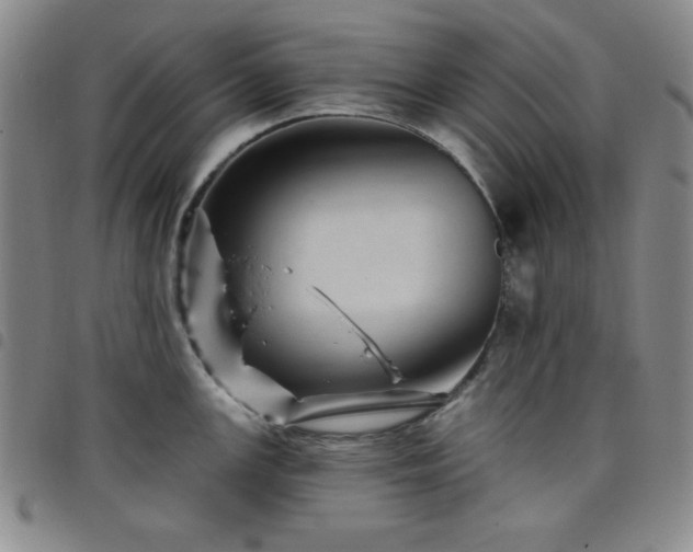 X0000098151147200804241733