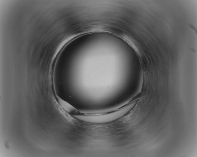X0000098151148200804241733