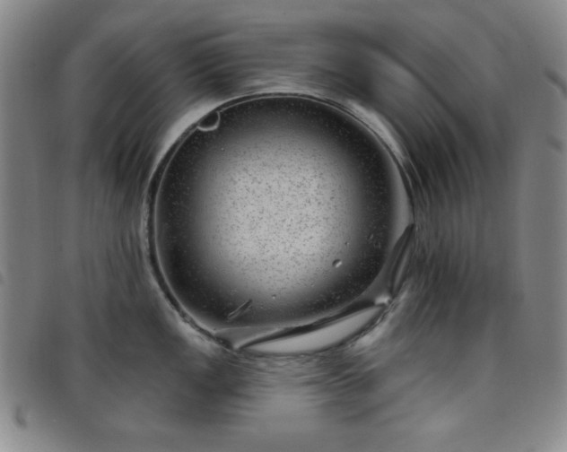 X0000098151149200804241733