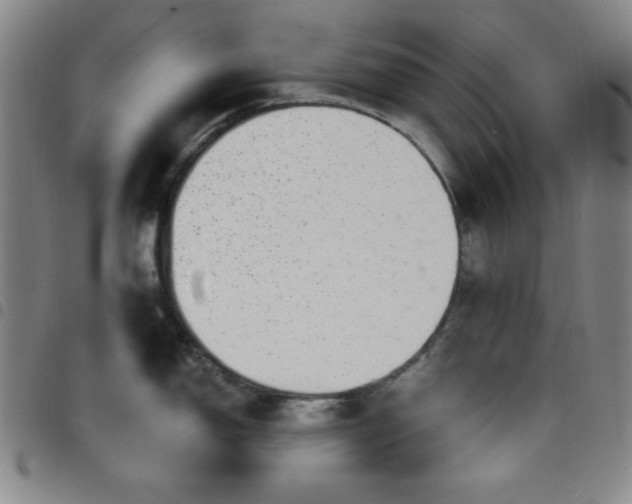 X0000098151150200804241733