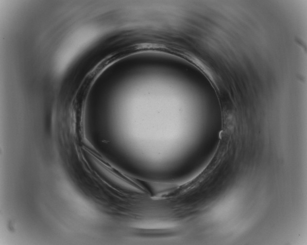 X0000098151151200804241733
