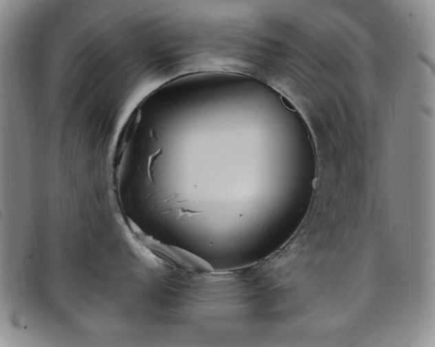 X0000098151152200804241733