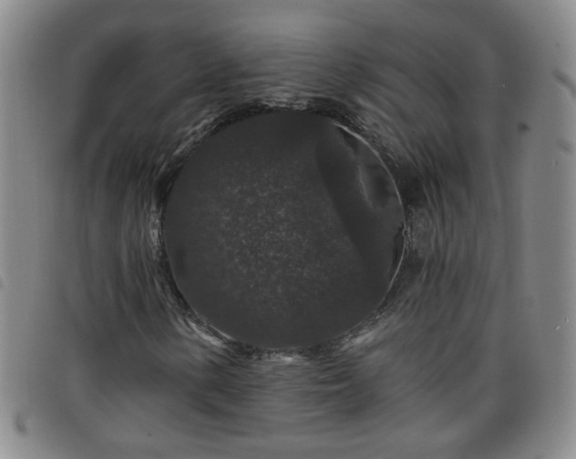 X0000098151154200804241733