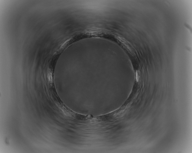 X0000098151155200804241733