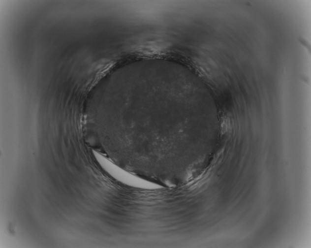 X0000098151156200804241733