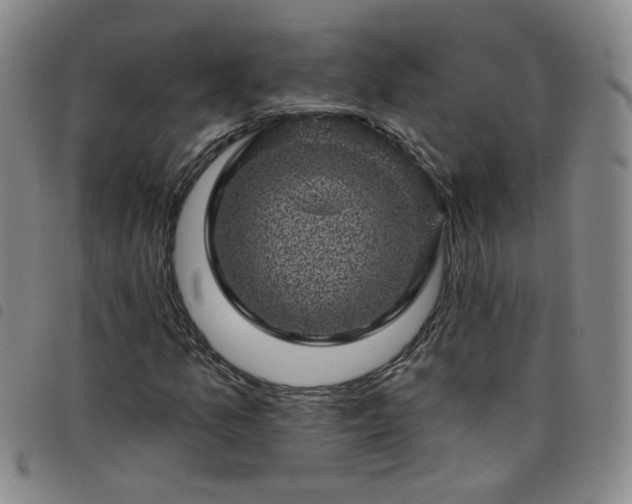 X0000098151157200804241733