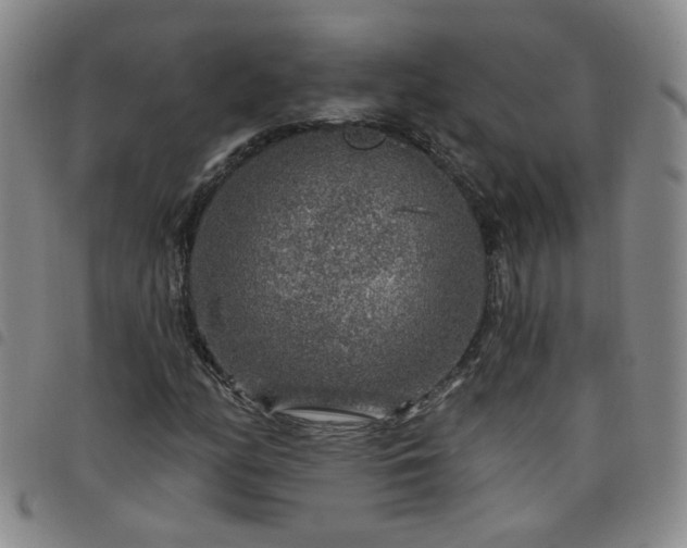 X0000098151158200804241733