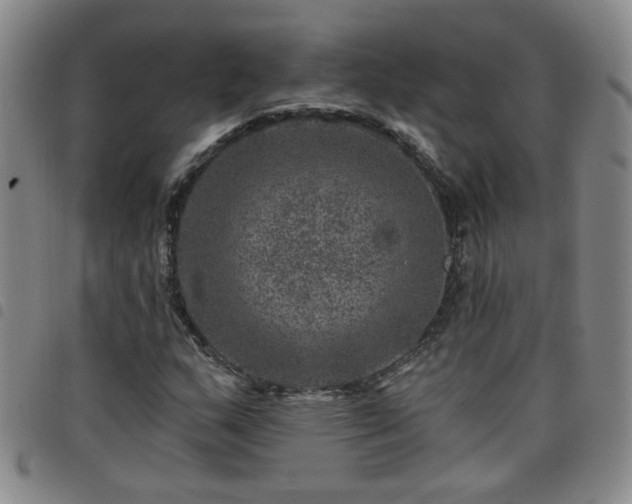 X0000098151159200804241733