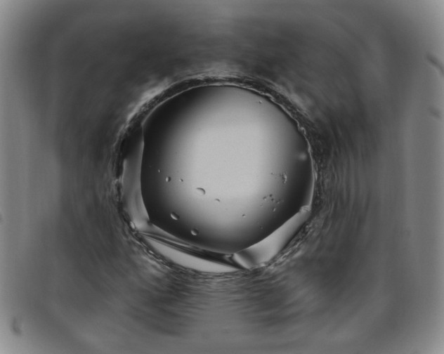 X0000098151160200804241732