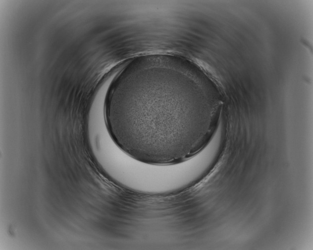 X0000098151161200804241732