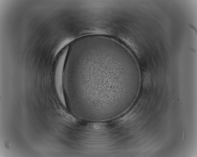 X0000098151163200804241732