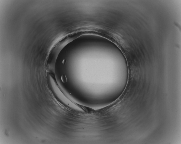 X0000098151164200804241732