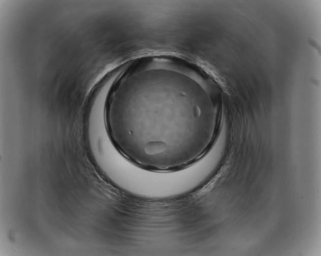 X0000098151165200804241732
