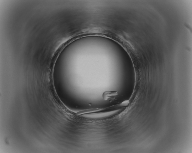 X0000098151166200804241732