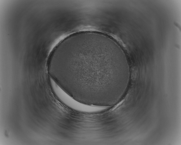 X0000098151167200804241732