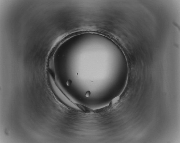 X0000098151168200804241732