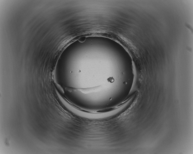 X0000098151169200804241732