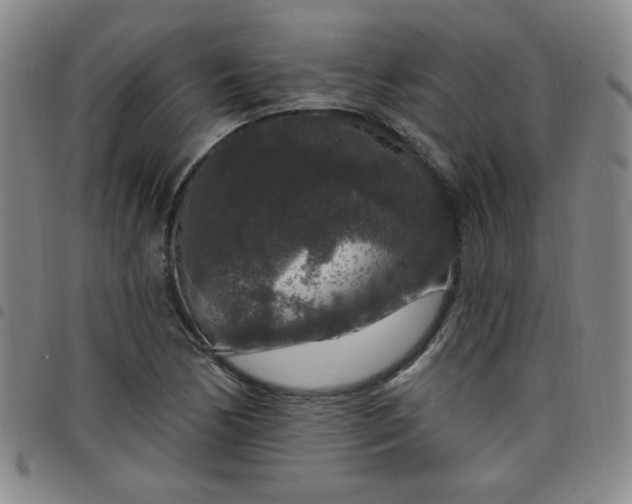 X0000098151170200804241732