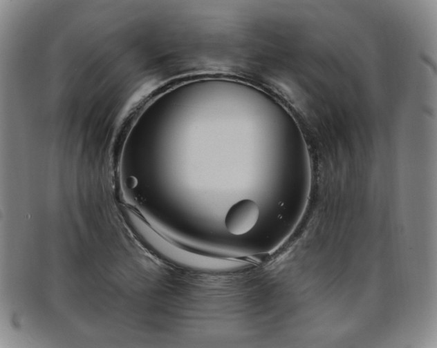X0000098151172200804241732