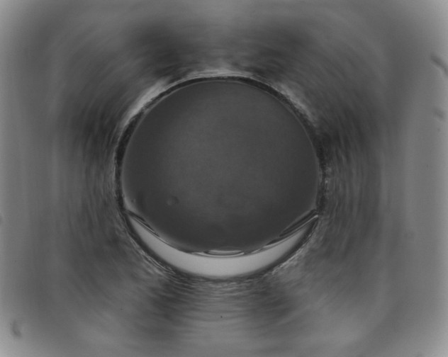 X0000098151173200804241732