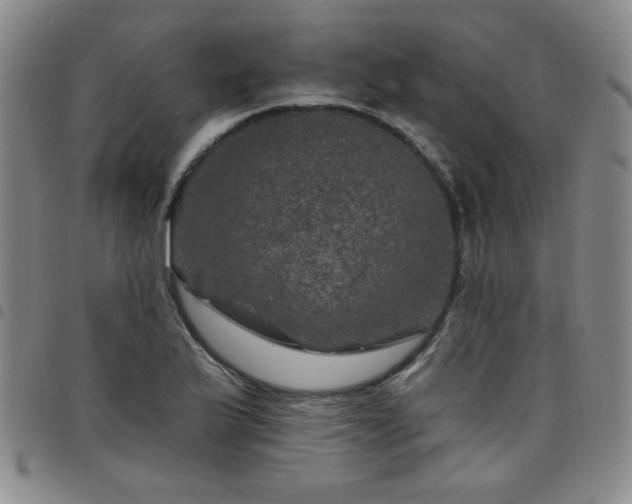 X0000098151175200804241732