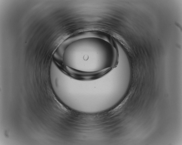 X0000098151177200804241732