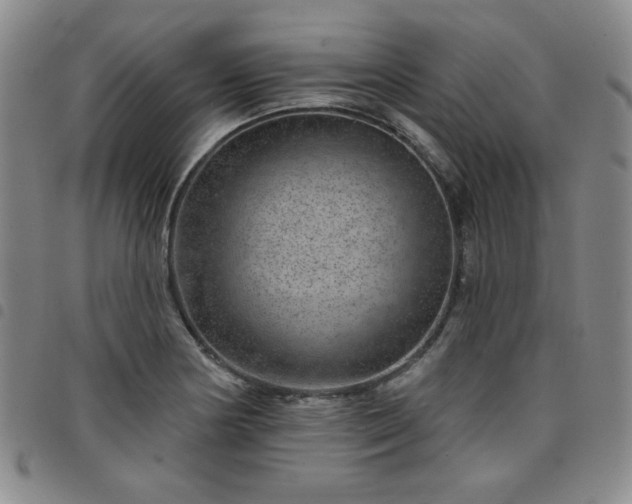 X0000098151178200804241732
