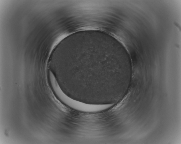 X0000098151179200804241732