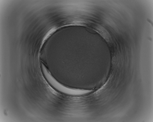 X0000098151180200804241732