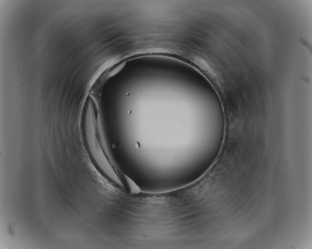 X0000098151181200804241732