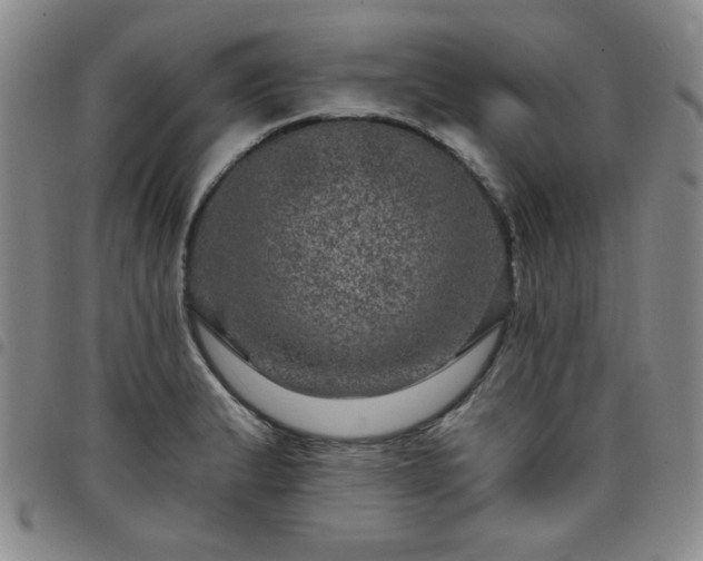 X0000098151183200804241732
