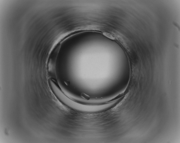 X0000098151184200804241732