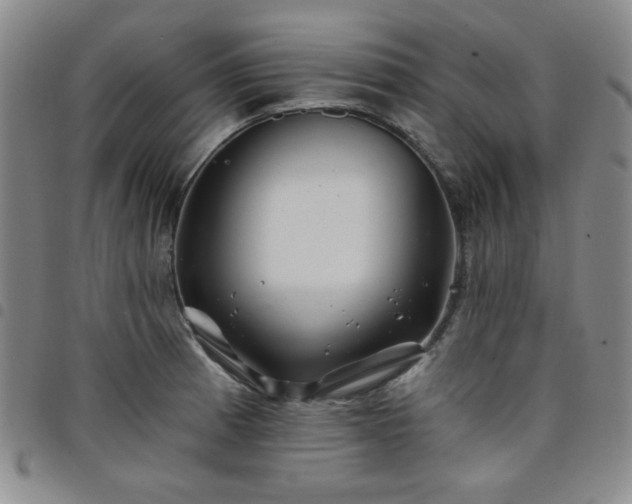X0000098151185200804241732